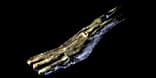 BeachDriftwood2
