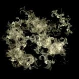 BeachSmoke2