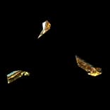 BrokenSpinnerDebris