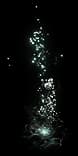DeepwaterEnvironmentalEffect