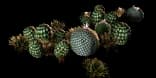 DesertPlants