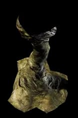 ForestCavePillar