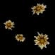 ForestFlowers