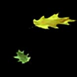 ForestLeavesFalling