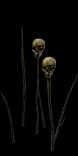ForestStickSkull