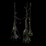 ForestTreeSkulls2