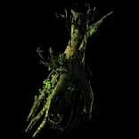 GroveTree
