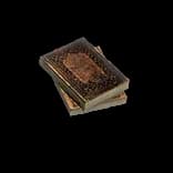 HideoutCourtsBooks