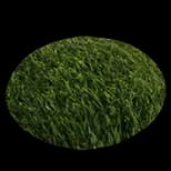 HideoutGrassPatch