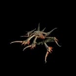 HideoutMonsterCorpse