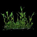 HideoutSewerPlant
