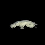 HideoutSnowDrift