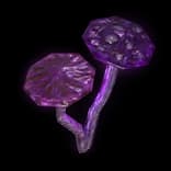 IncandescentFungus