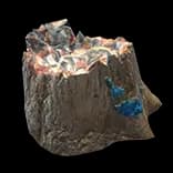 PetrifiedStump