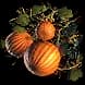 PumpkinPatch
