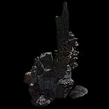 RitualHideoutRottenStump