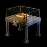 RuinedCityLibraryDisplayCase