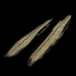 SandTracks