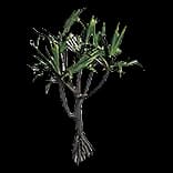 SarnPalm