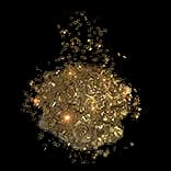 ShengjingCoins