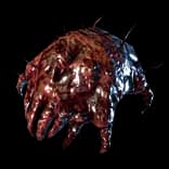 Tick
