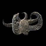 WarpedSkull