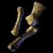 WhaleSkeletonBones