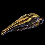 WhaleSkeletonHead