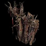 WildBuildingSupplies