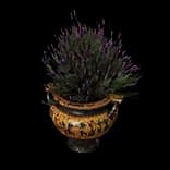 BOSPottedPlant