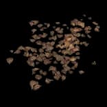 LeafPile