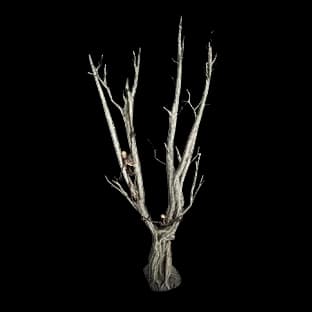 ShipwreckMutineersTree