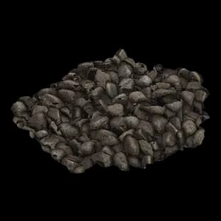 ShorelineShorelinePebbles