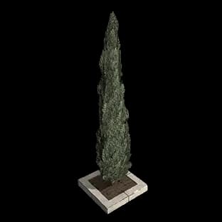 SummitTreePlanter
