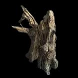 TreeStump