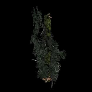 ArcaneOvergrownPost