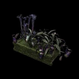 ArcanePlanter