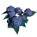 ArenaFlowers