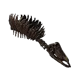 AzmeriDeadAnimal
