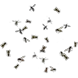 BeachSwarm