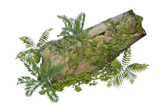 ColossusLeg