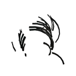 HideoutAbyssalWhaleBones