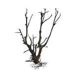 HideoutBurnedTree