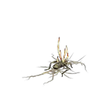 HideoutOvergrownCorpse