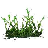 HideoutSewerPlant
