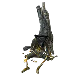 PirateRemains