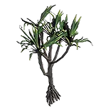 SarnPalm