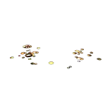 ScatteredCoins
