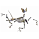 SkeletonDog