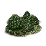 ToxicFungus